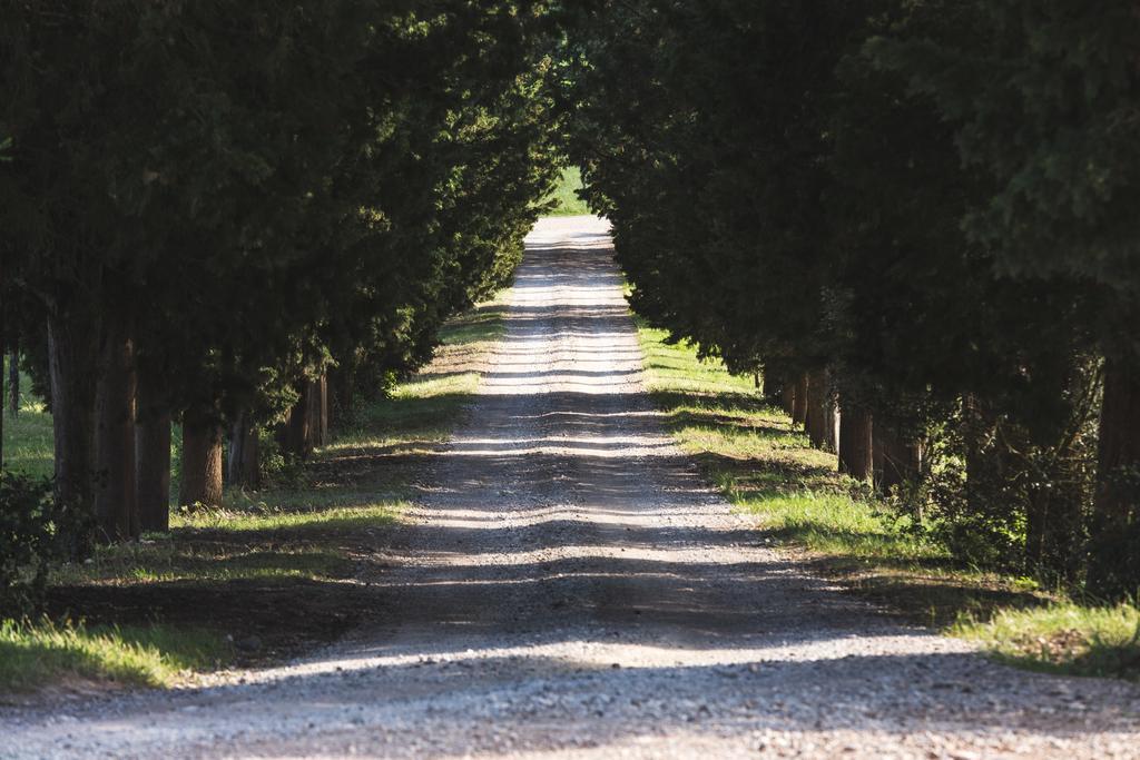 Agriturismo Villa Buoninsegna Rapolano Terme Eksteriør bilde