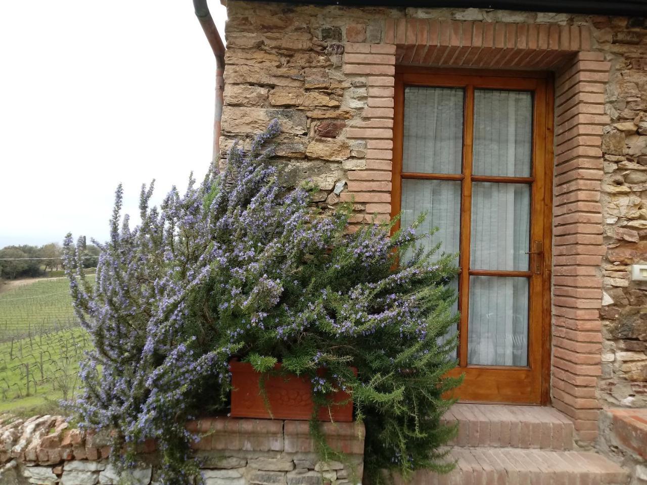 Agriturismo Villa Buoninsegna Rapolano Terme Eksteriør bilde